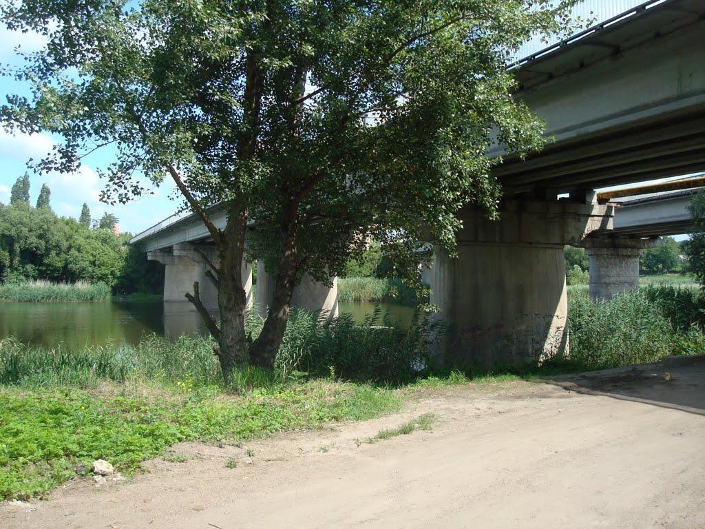 Первомайськ з panoramio.com (ч.2) - Первомайск