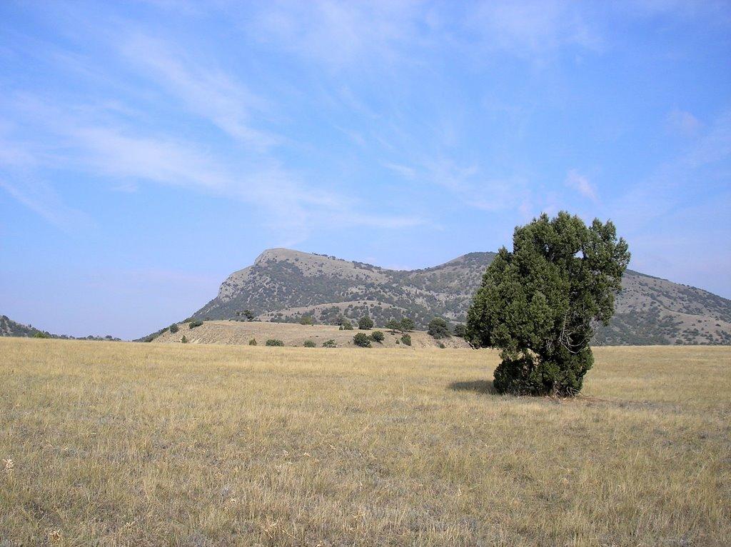 Миндальне з panoramio.com (ч.2) - Миндальное