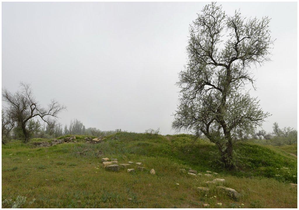 Заозерне з panoramio.com - Zaozerne