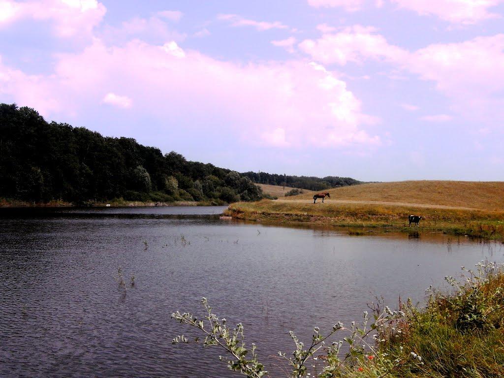 Борщагівка з panoramio.com - Борщагівка