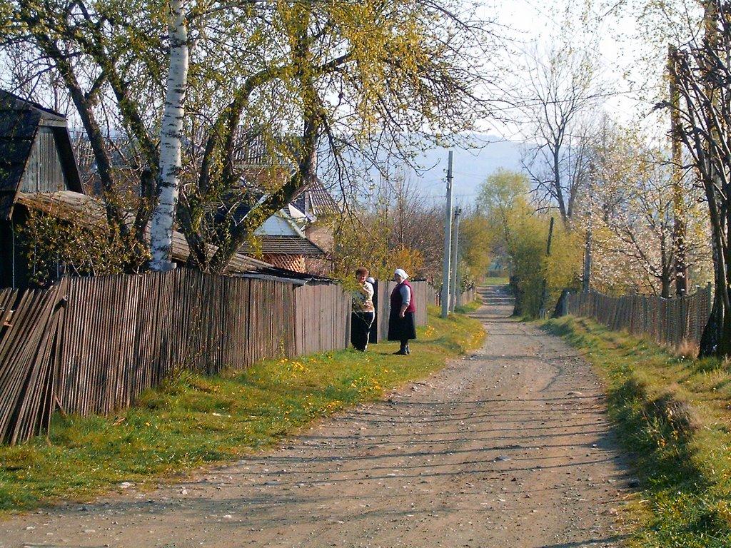 Печеніжин з panoramio.com - Pechenizhyn