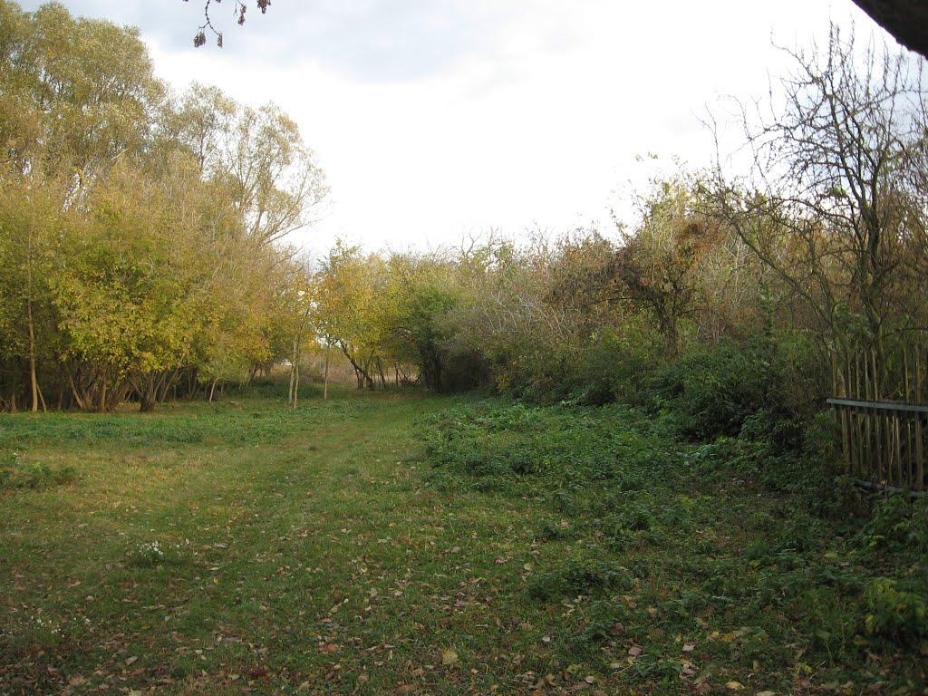 Білопілля з panoramio.com - Белополье