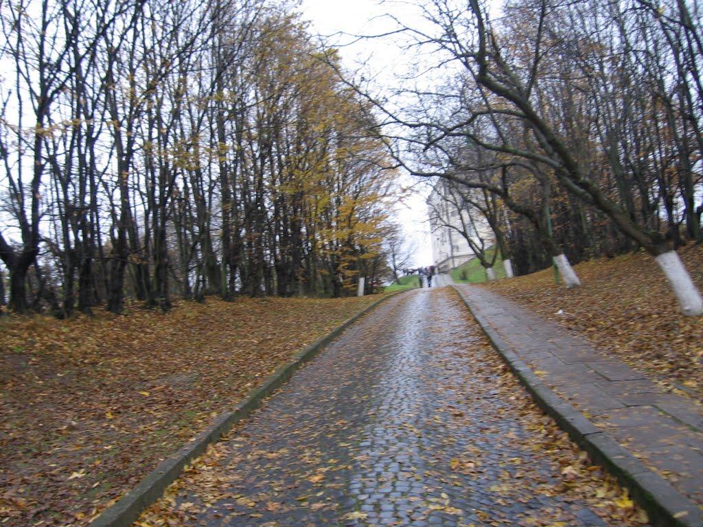 Олесько з panoramio.com - Олесько