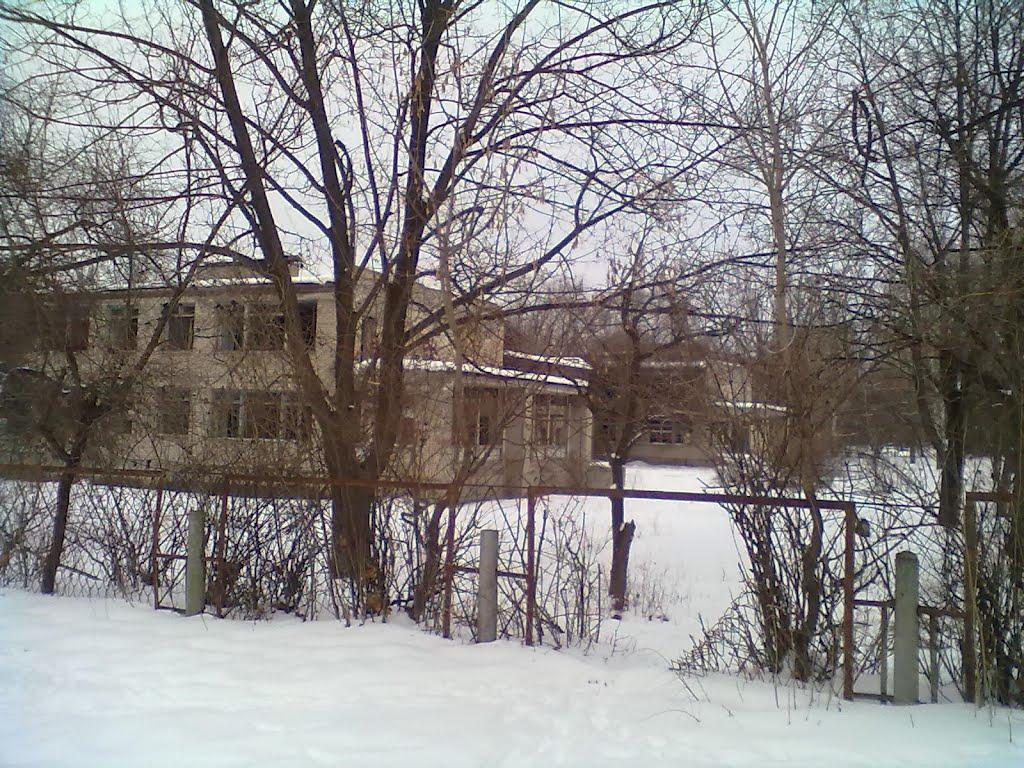 Миколаївка з panoramio.com (ч.2) - Николаевка