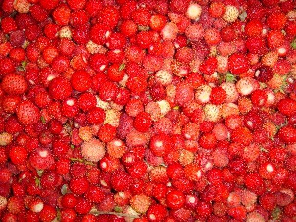 Городище з panoramio.com - Городище