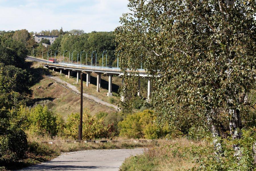 Кочеток з panoramio.com - Кочеток