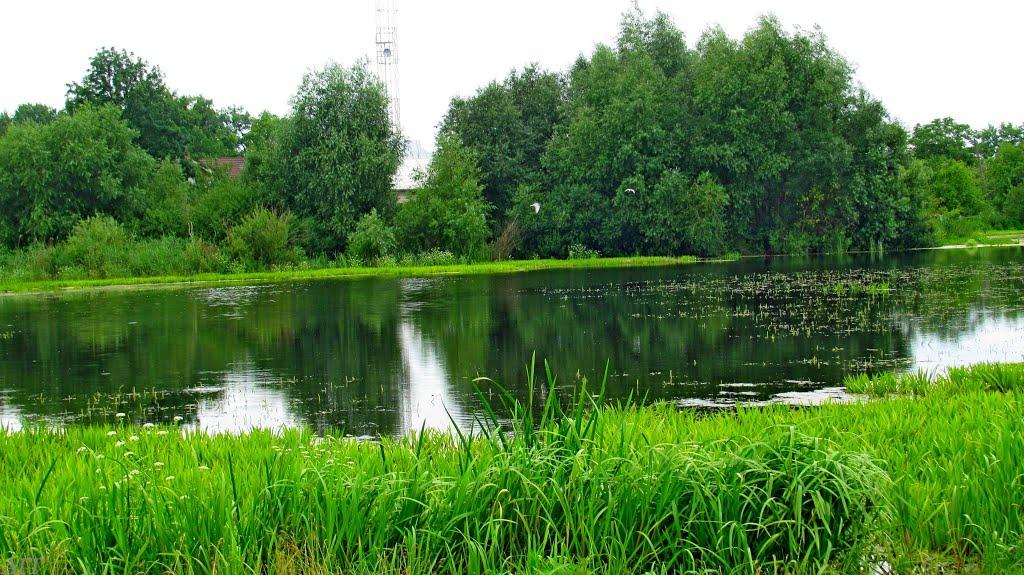 Броди з panoramio.com - Броди