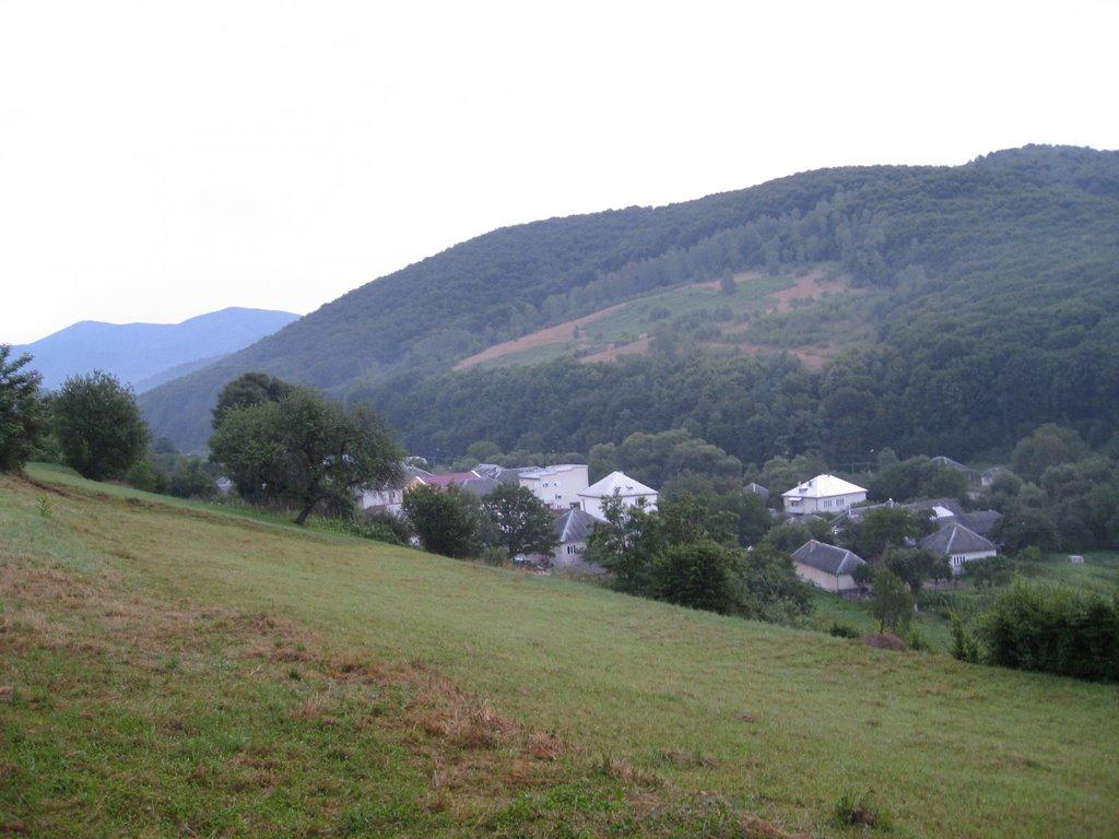 Поляна з panoramio.com - Поляна