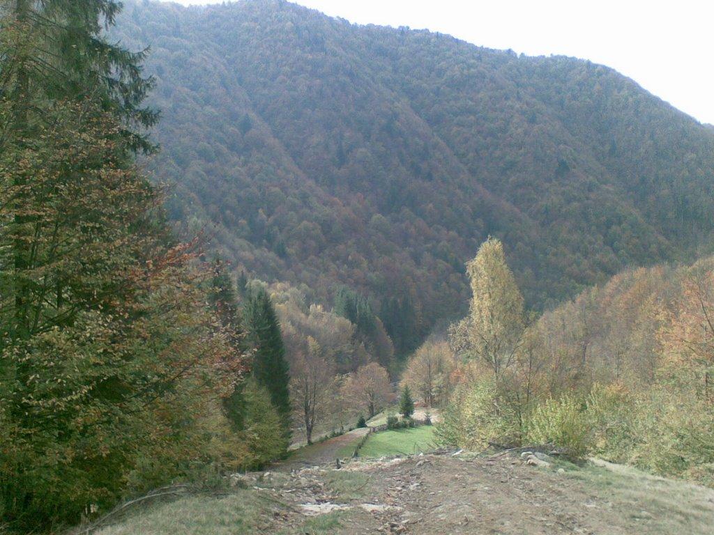 Красна з panoramio.com - Красна