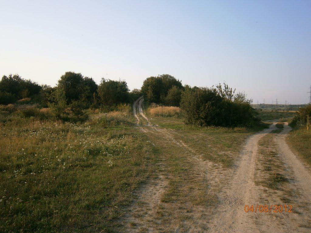 Берездівці з panoramio.com - Берездовцы
