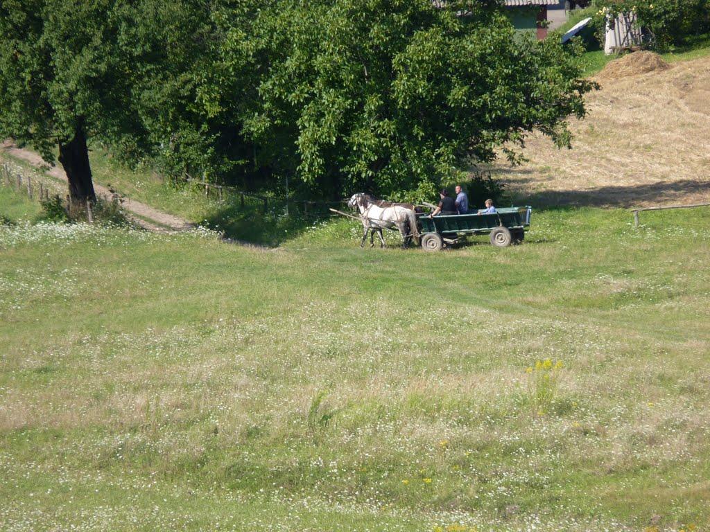 Острів з panoramio.com - Острів