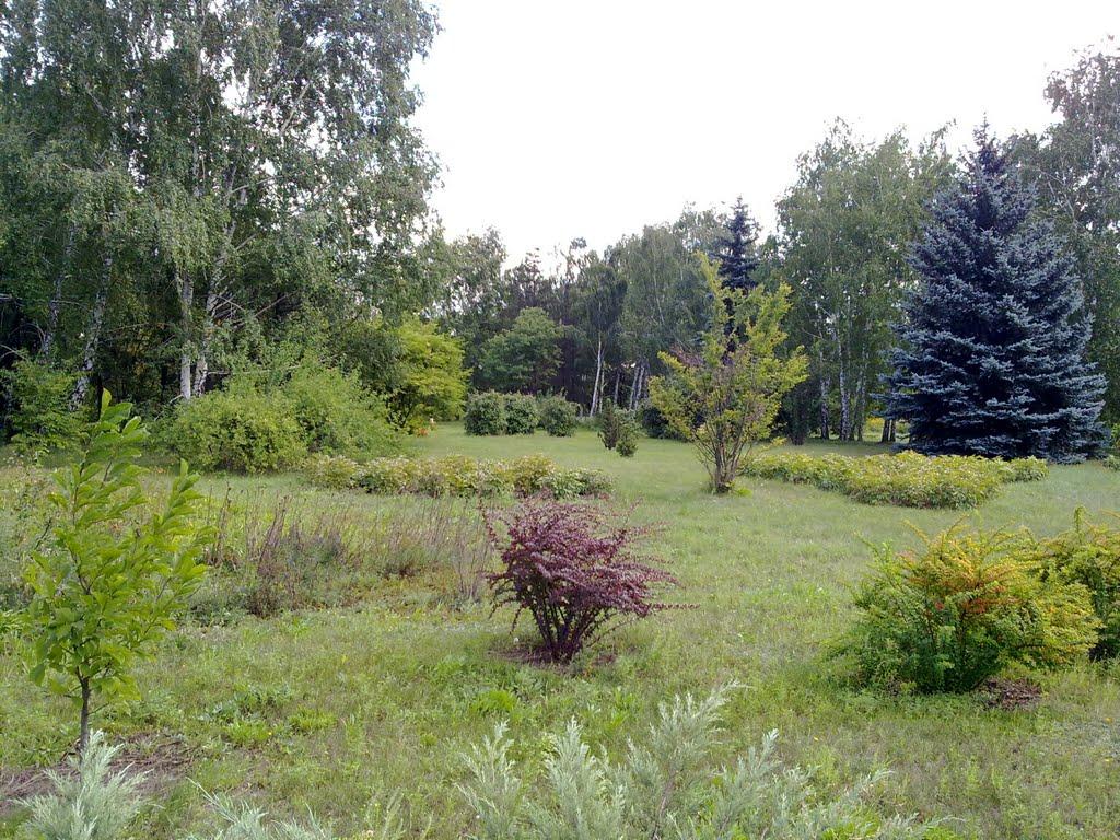 Кам'яне Поле з panoramio.com - Кам'яне Поле