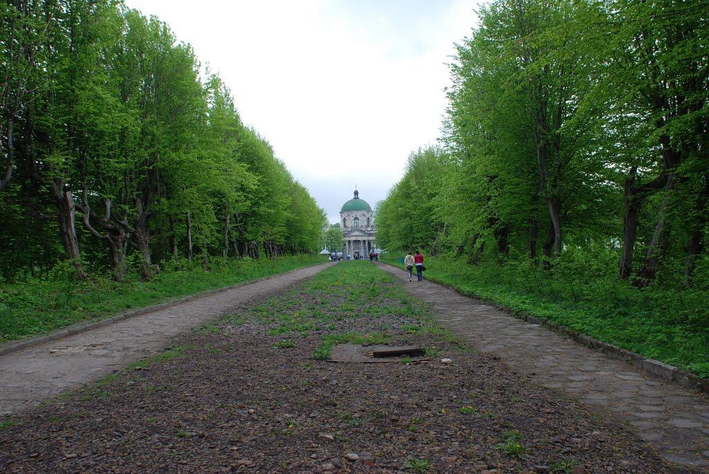 Підгірці з panoramio.com - Подгорцы