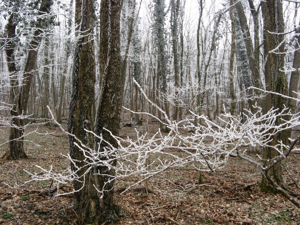 Багате з panoramio.com - Багате