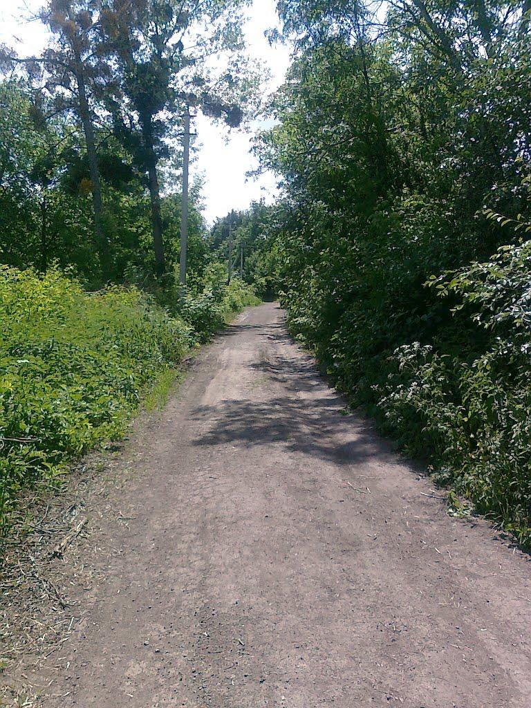 Андрушівка з panoramio.com - Андрушівка