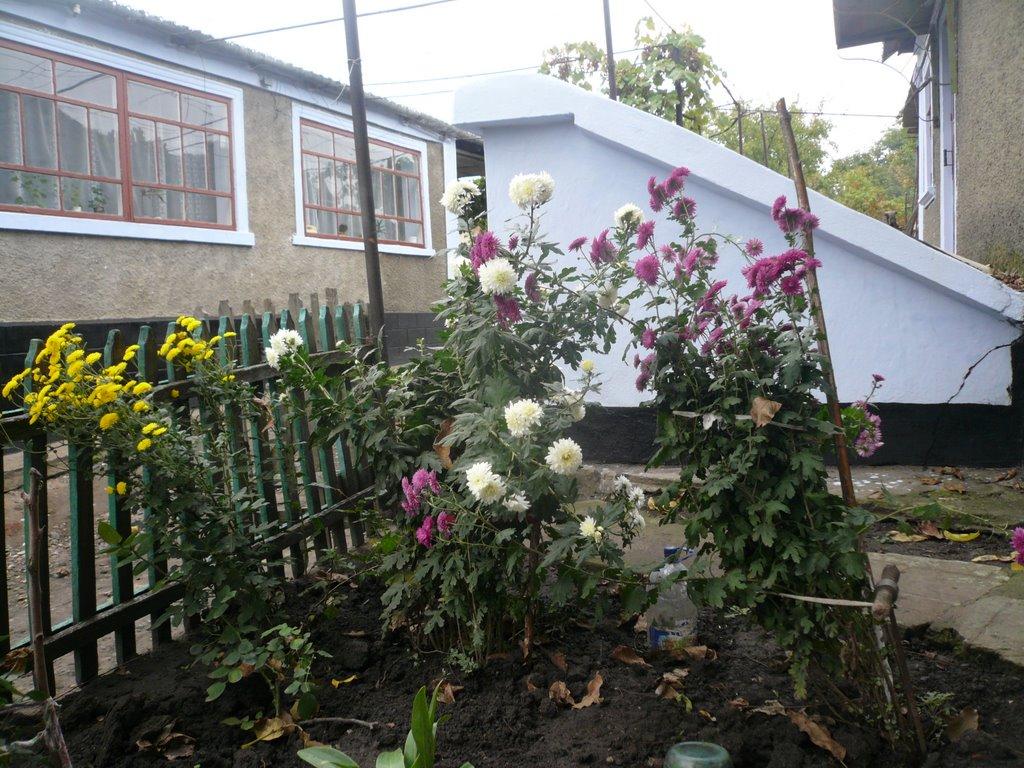 Красні Окни з panoramio.com - Красні Окни