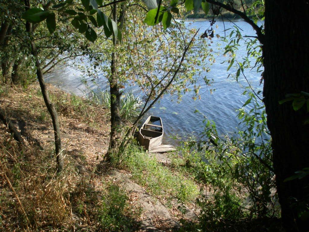 Синюхин Брід з panoramio.com - Синюхин Брод