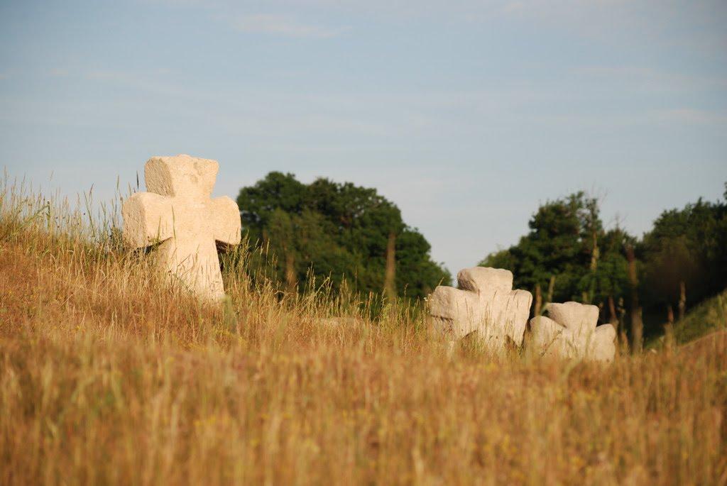 Підкамінь з panoramio.com - Подкамень