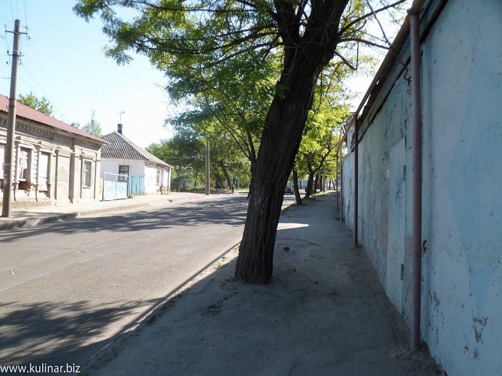 Мелітополь з panoramio.com (ч.2) - Мелитополь