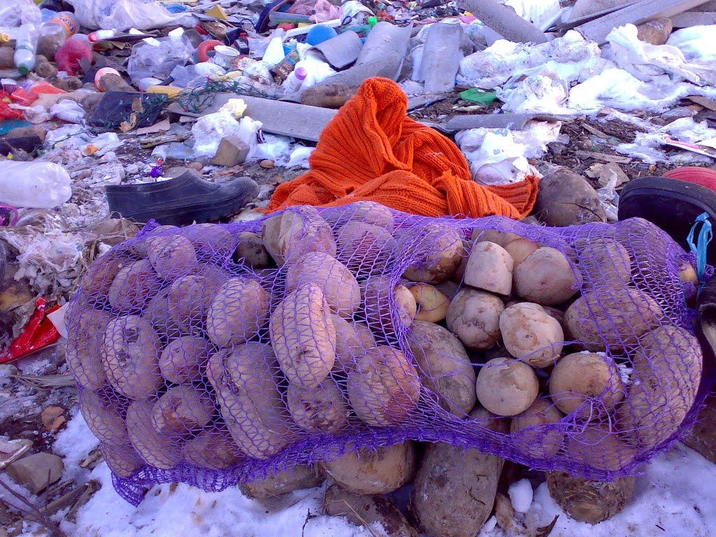 Перегінське з panoramio.com - Перегінське