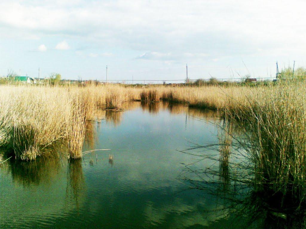 Великодолинське з panoramio.com - Velykodolynske