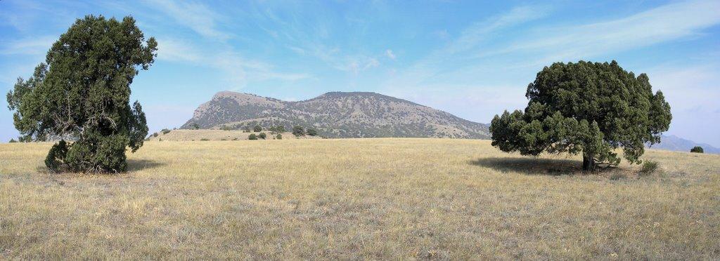 Миндальне з panoramio.com (ч.2) - Myndalne