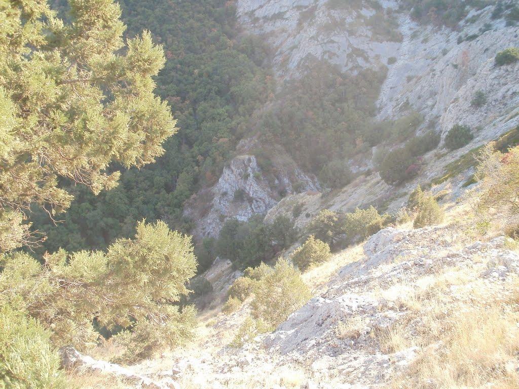 Чайковське з panoramio.com (ч.2) - Чайковське
