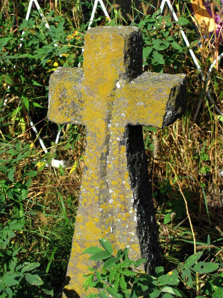 Степань з panoramio.com - Степань