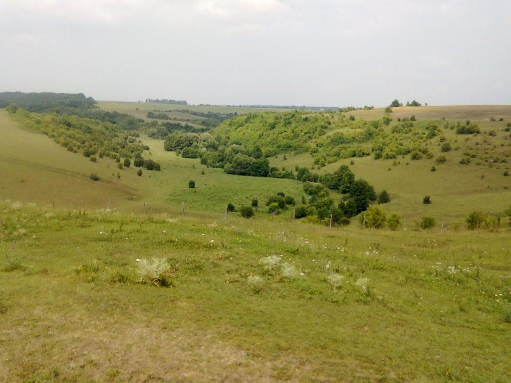 Гаврилівці з panoramio.com - Гаврилівці