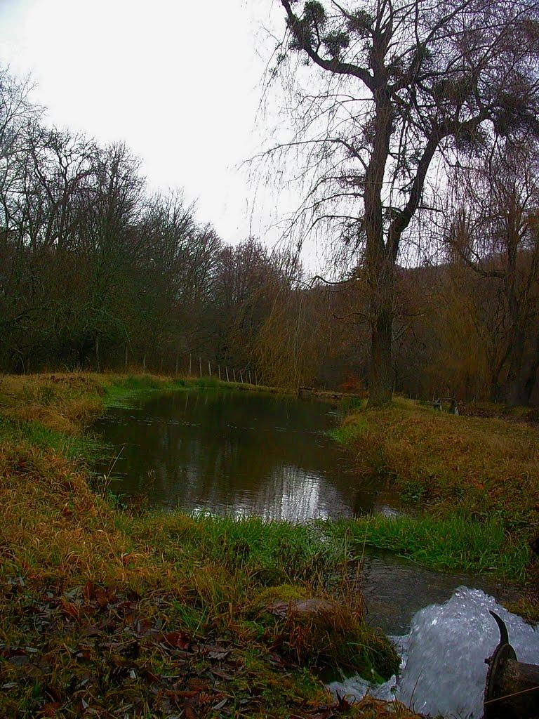 Розовий з panoramio.com (ч.2) - Розовый