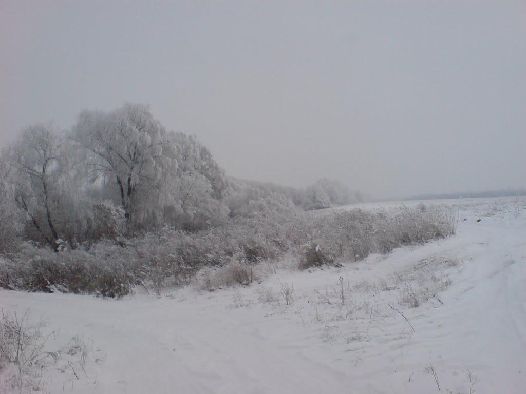 Софіївський з panoramio.com - Софіївський