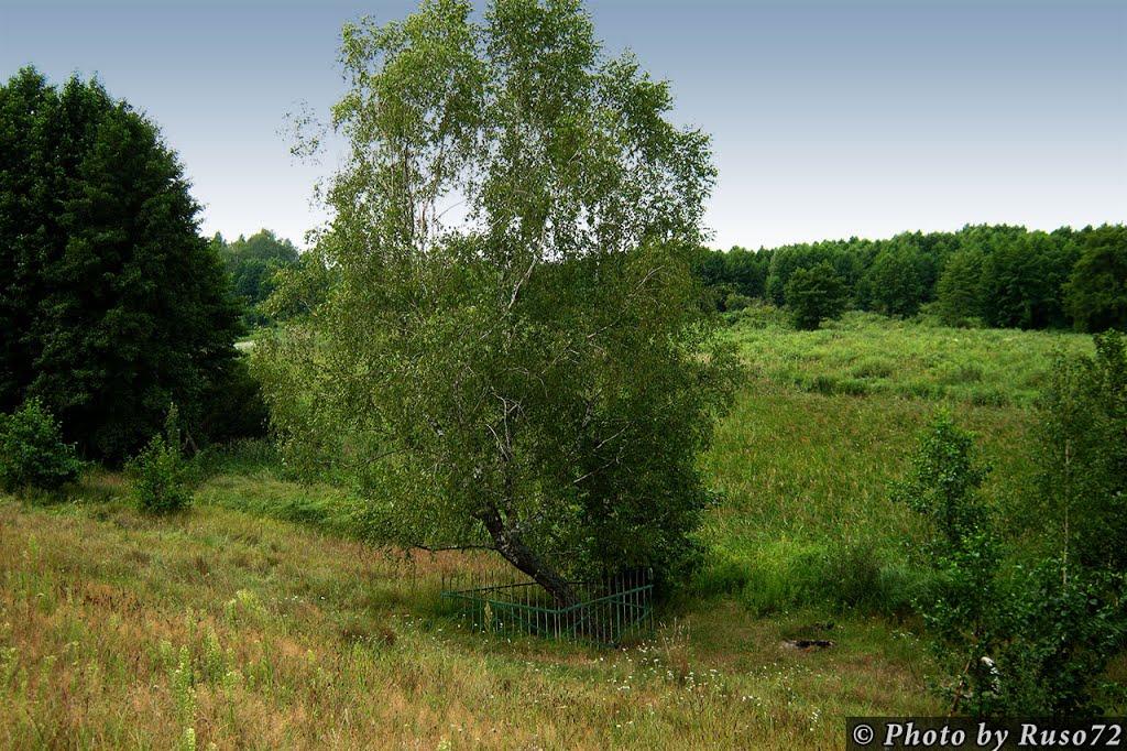 Рожів з panoramio.com - Rozhiv