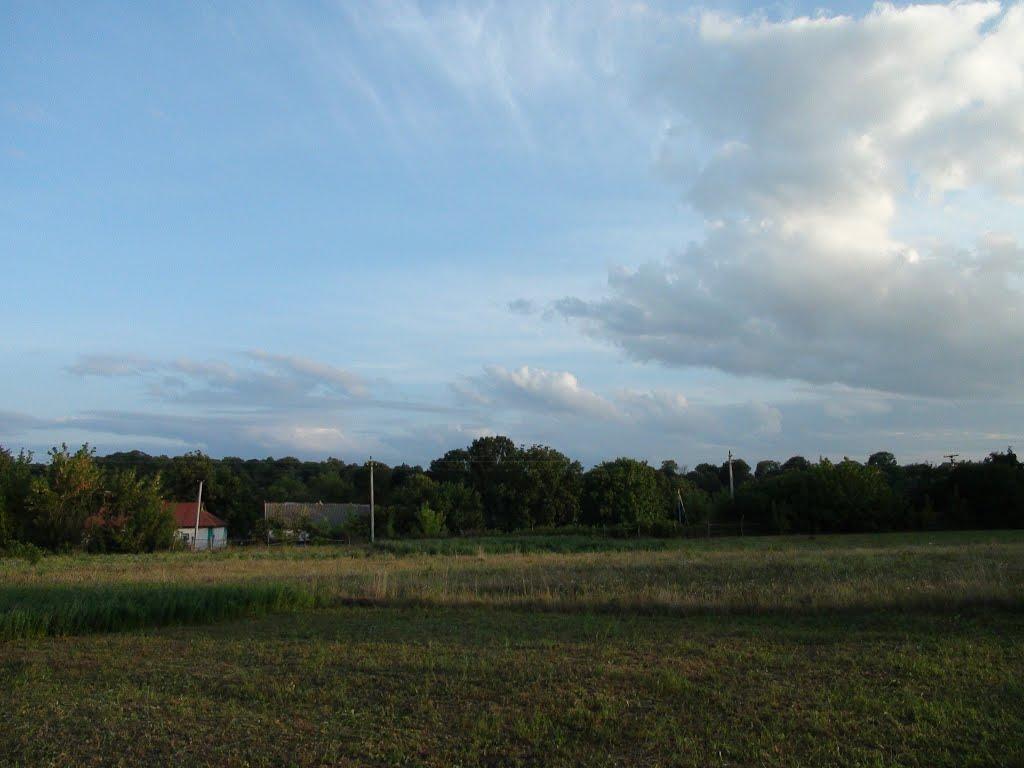 Люлинці з panoramio.com - Люлинцы