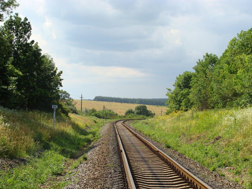 Зарудинці з panoramio.com - Зарудинцы