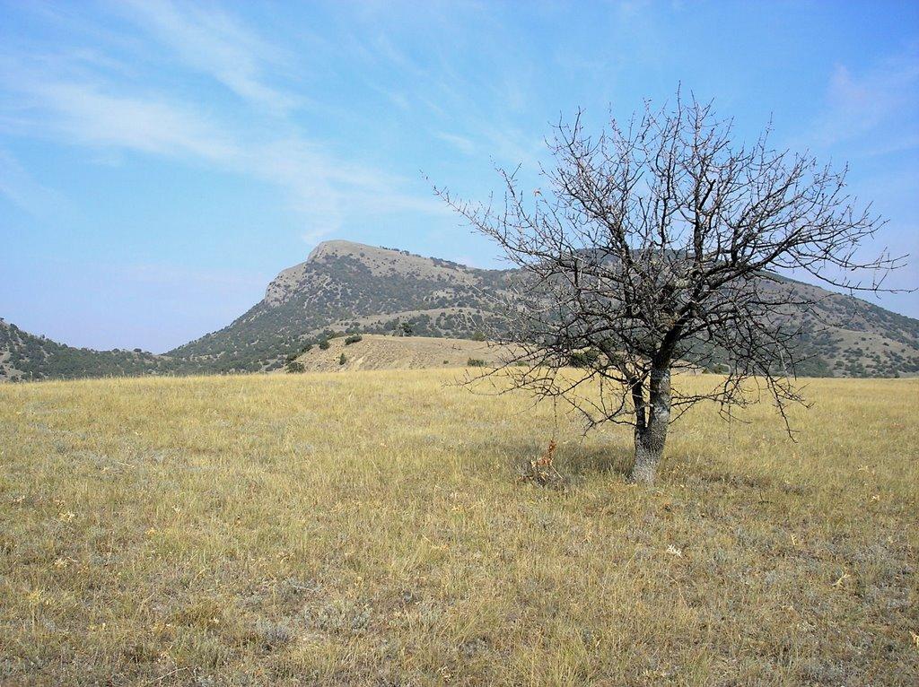 Миндальне з panoramio.com (ч.2) - Миндальное