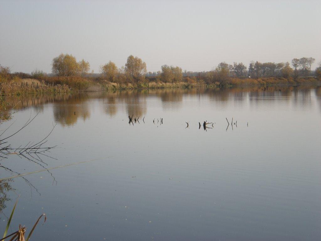 Соломоново з panoramio.com (ч.2) - Solomonovo