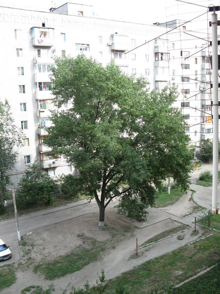 Ювілейне з panoramio.com - Юбилейное