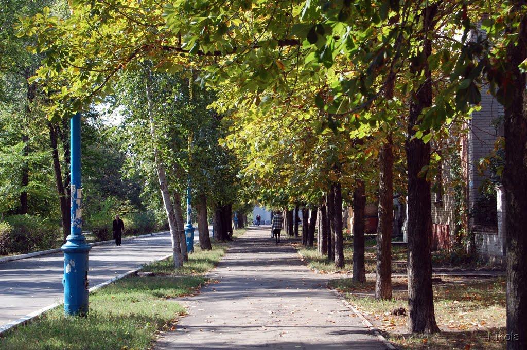 Сєверодонецьк з panoramio.com (ч.3) - Сєверодонецьк