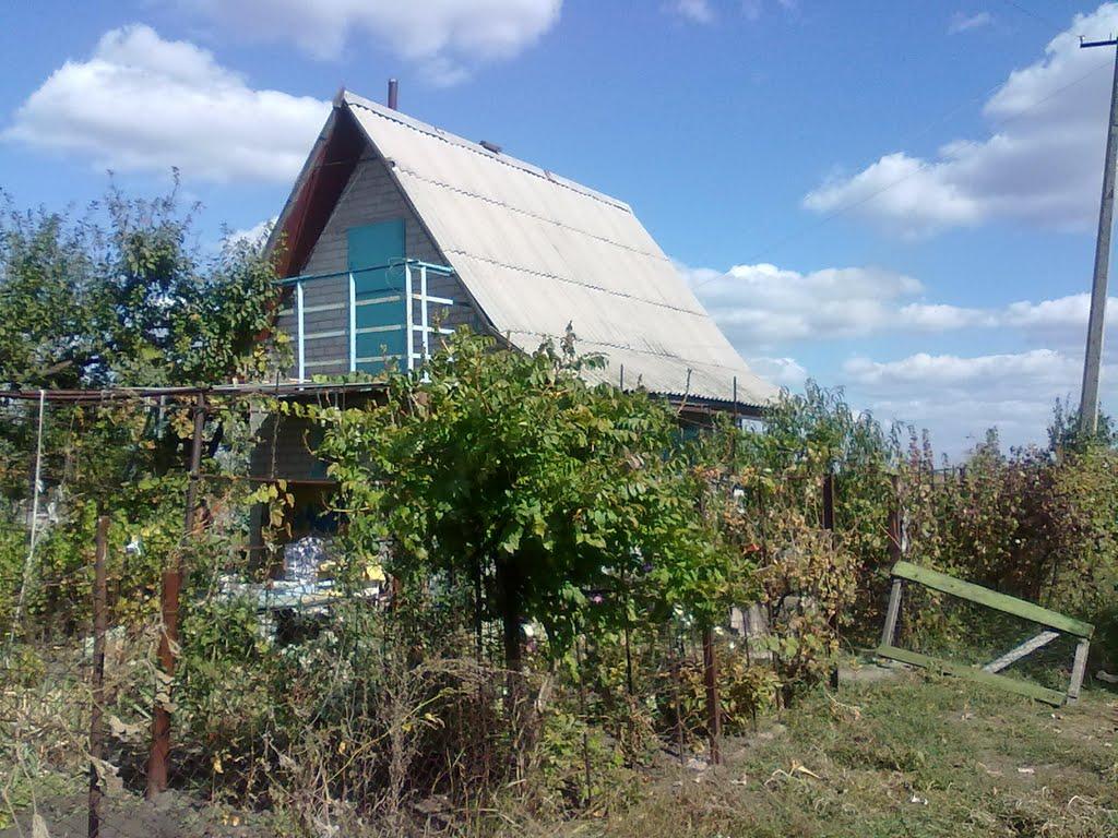 Кам'яне Поле з panoramio.com - Кам'яне Поле