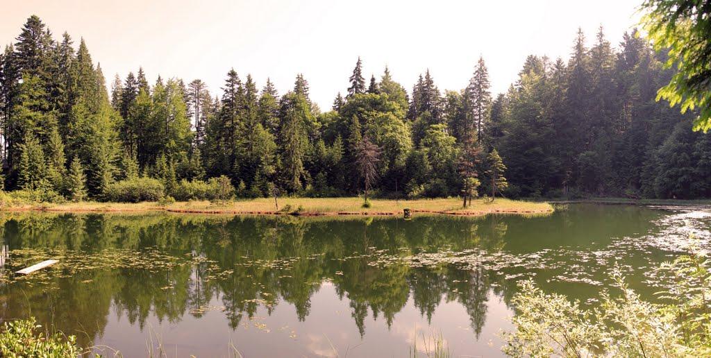 Заверхня Кичера з panoramio.com - Заверхня Кичера