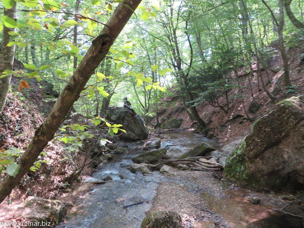 Генеральське з panoramio.com (ч.3) - Генеральське