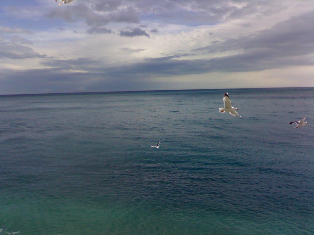 Лівадія з panoramio.com - Лівадія