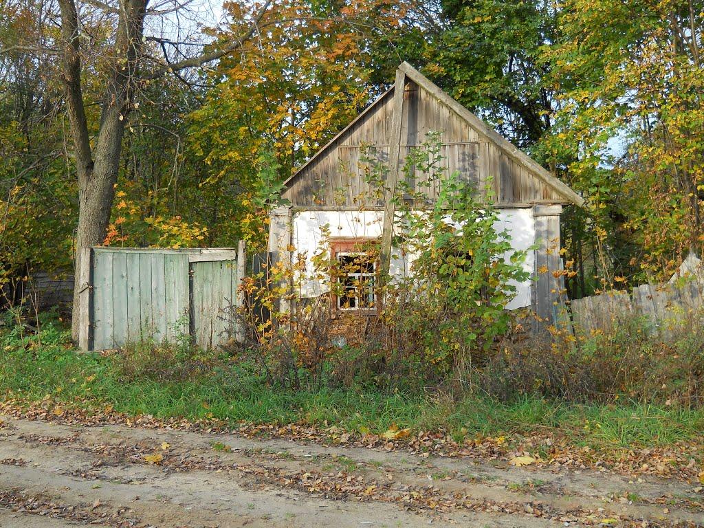 Чорнозем з panoramio.com - Чорнозем