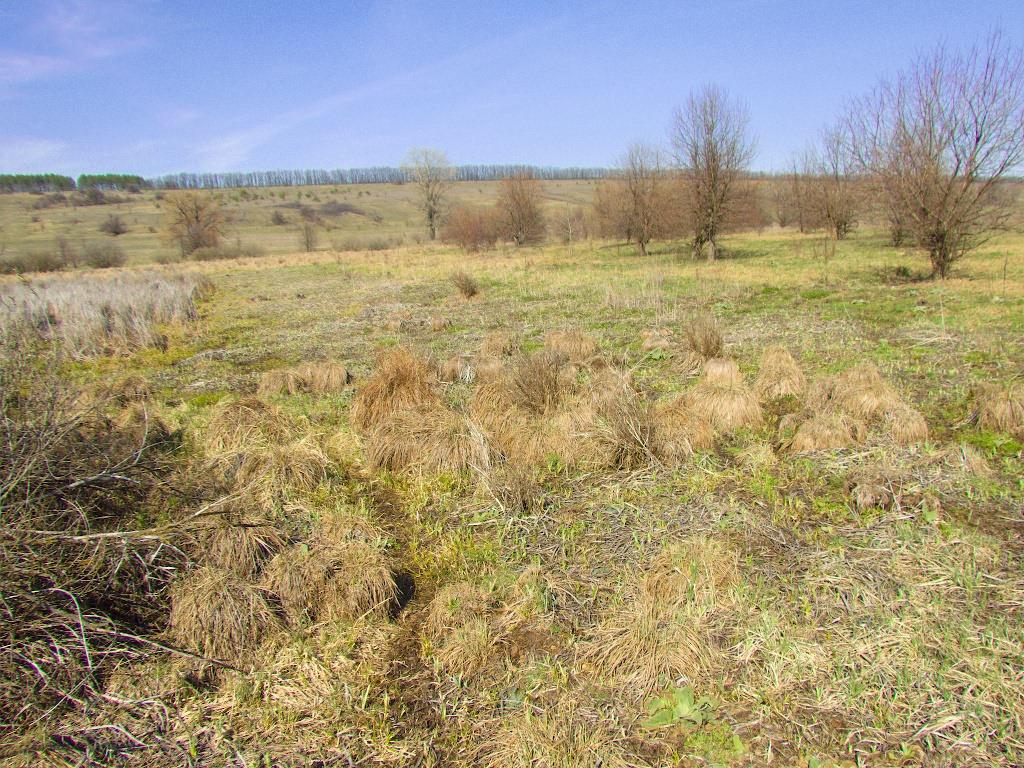 Кицівка з panoramio.com - Кицівка