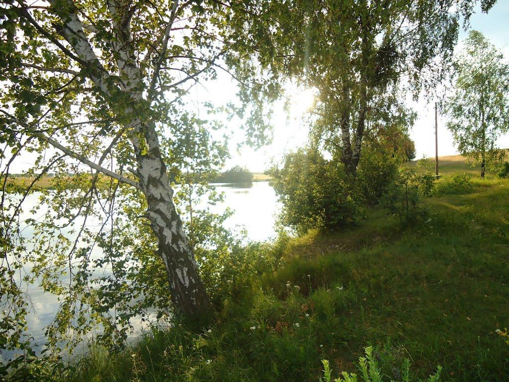 Літки з panoramio.com - Літки