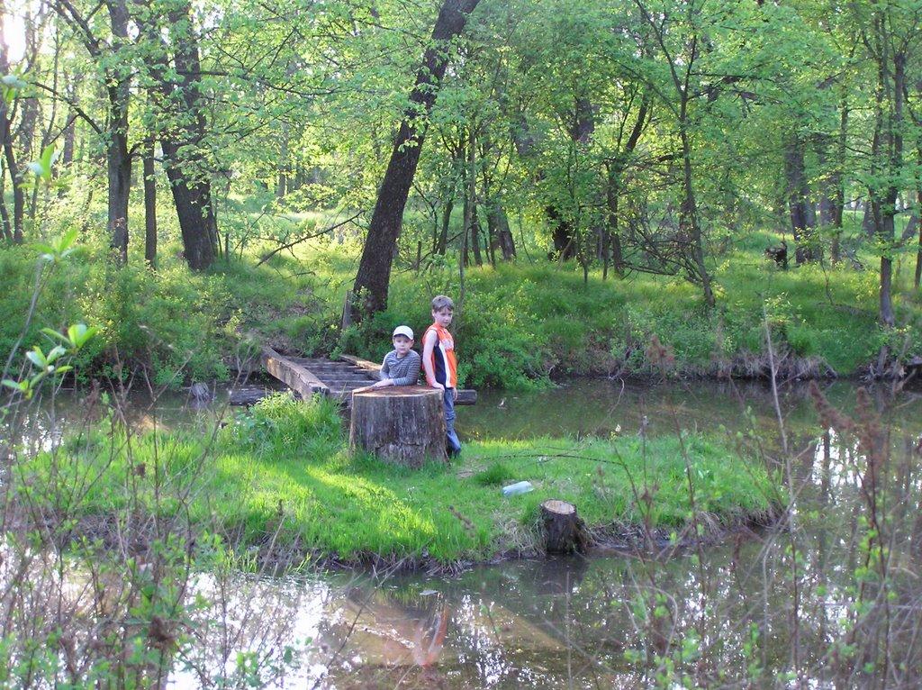 Ушомир з panoramio.com - Ушомир