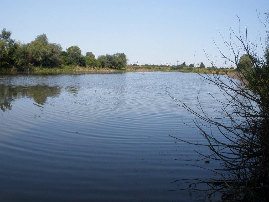 Соломоново з panoramio.com (ч.2) - Соломоново