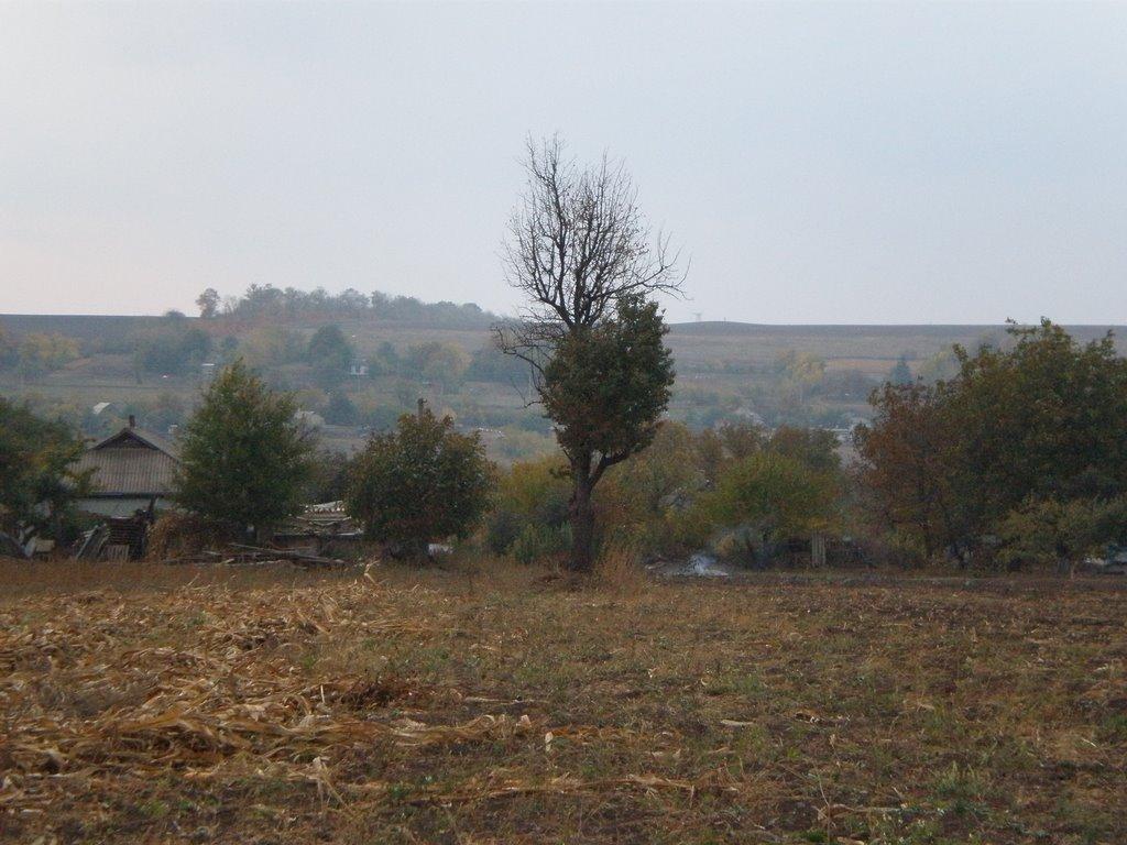 Капітанка з panoramio.com - Капітанка