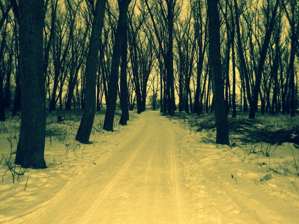 Вовчанськ з panoramio.com - Вовчанськ