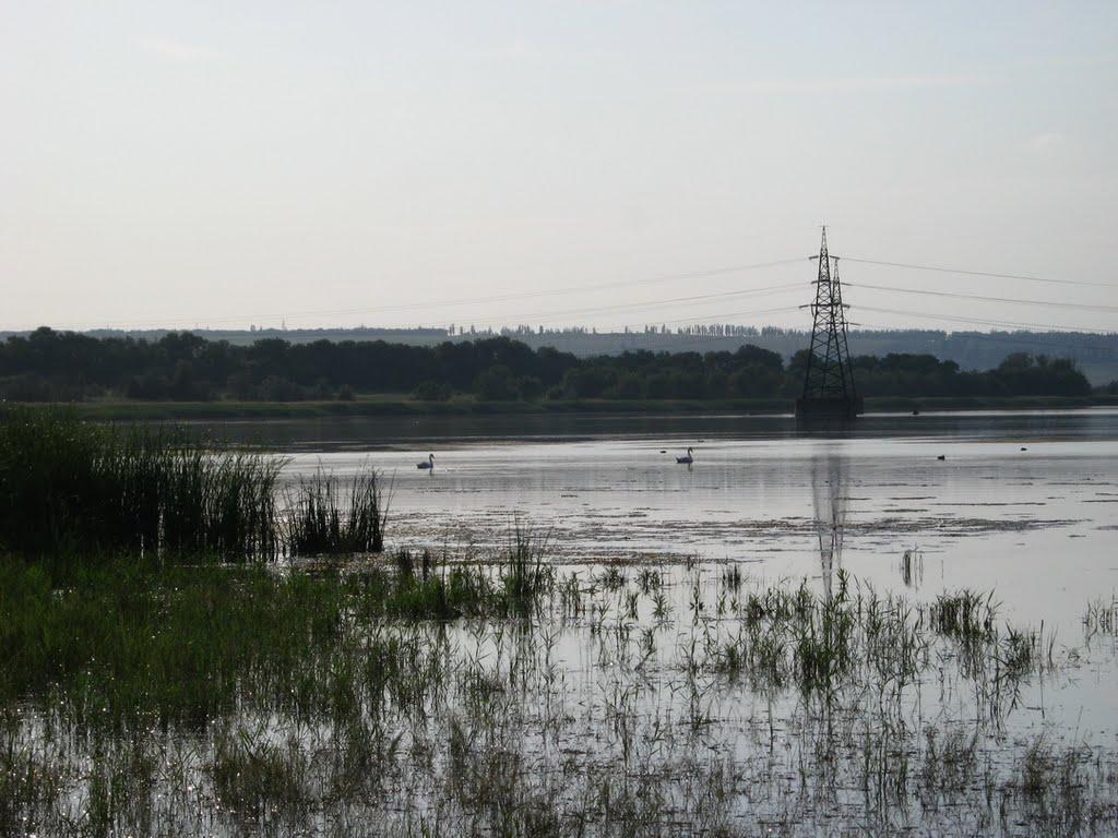 Лозове з panoramio.com - Лозовое